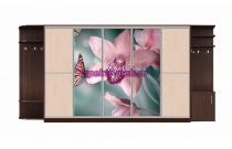 Шкаф-купе Аура 28