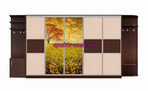 Шкаф-купе Аура 2