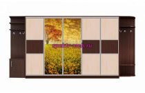 Шкаф-купе Аура 2