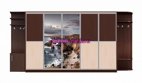 Шкаф-купе Аура 6