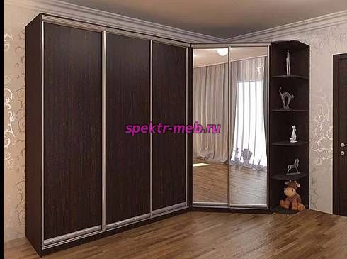 Шкаф-купе Снич