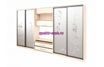 Шкаф-купе TV-10.1