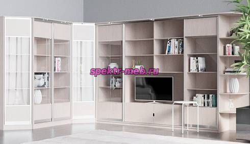 Шкаф-купе Форман 5