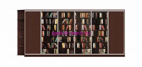 Шкаф-купе Библио 19