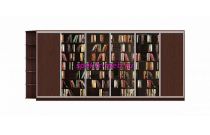 Шкаф-купе Библио 19