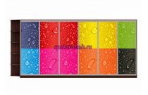 Шкаф-купе Колор 16