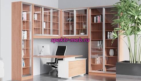 Шкаф-купе Бейсик 4