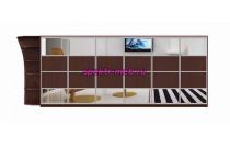 Шкаф-купе Долорес 3