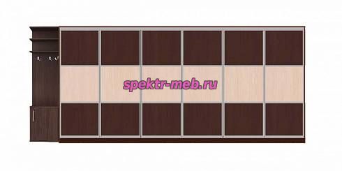 Шкаф-купе Рикс 5