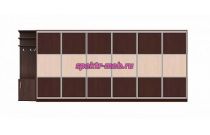 Шкаф-купе Рикс 5