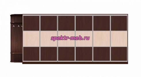 Шкаф-купе Рикс 1