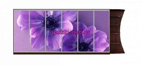 Шкаф-купе Анемон 12