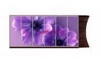 Шкаф-купе Анемон 12