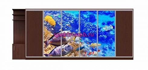Шкаф-купе Подводный мир 5