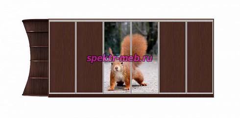 Шкаф-купе Природа 62