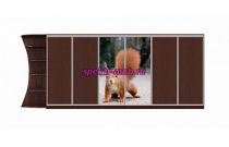 Шкаф-купе Природа 62