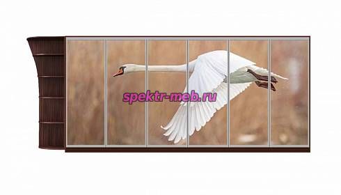 Шкаф-купе Природа 5