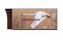 Шкаф-купе Природа 5