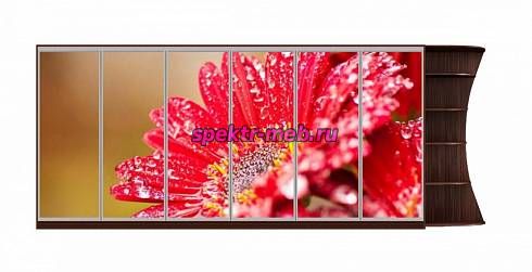 Шкаф-купе Гербера 34