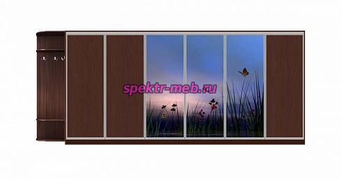 Шкаф-купе Природа 20