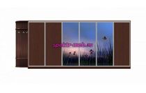 Шкаф-купе Природа 20