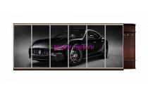 Шкаф-купе Лайт 66