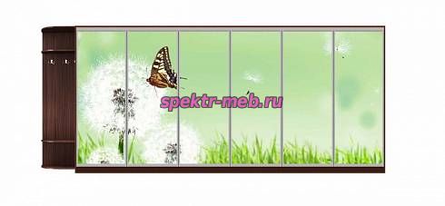 Шкаф-купе Природа 36