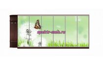 Шкаф-купе Природа 36