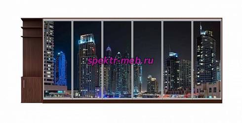 Шкаф-купе Город 5