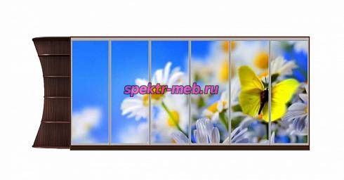 Шкаф-купе Природа 49