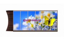 Шкаф-купе Природа 49
