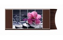 Шкаф-купе Орхидея 13