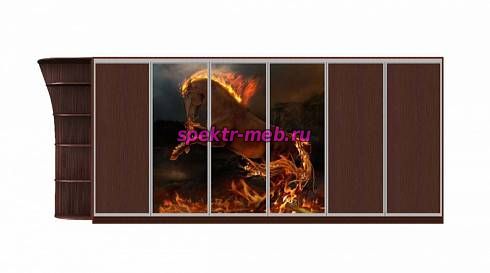 Шкаф-купе Фантазия 19