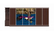 Шкаф-купе Природа 39