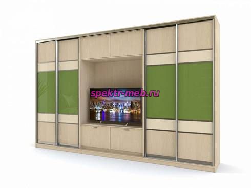 Шкаф-купе Соло 67