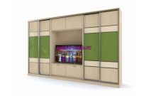 Шкаф-купе Соло 67