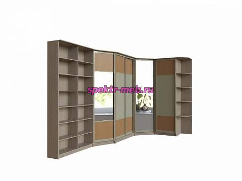 Шкаф-купе Книжный