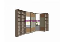 Шкаф-купе Книжный