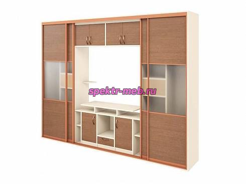 Шкаф-купе с нишей под ТВ Робин