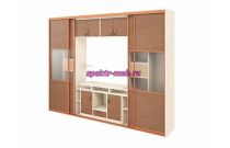 Шкаф-купе с нишей под ТВ Робин