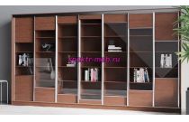 Шкаф-купе Свобода 1