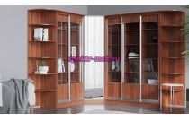 Книжный шкаф-купе Библиотека