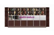 Шкаф-купе Библиотека У 9