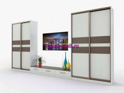 Шкаф-купе Секрет 8
