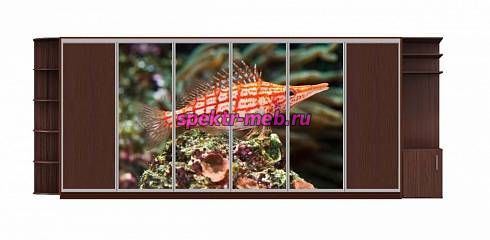 Шкаф-купе Подводный мир 9