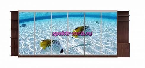 Шкаф-купе Море 251