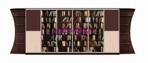 Шкаф-купе Библиотека У 4