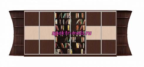 Шкаф-купе Библиотека У 2