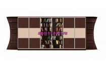 Шкаф-купе Библиотека У 2