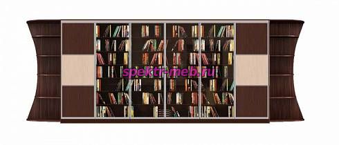 Шкаф-купе Библиотека У 3